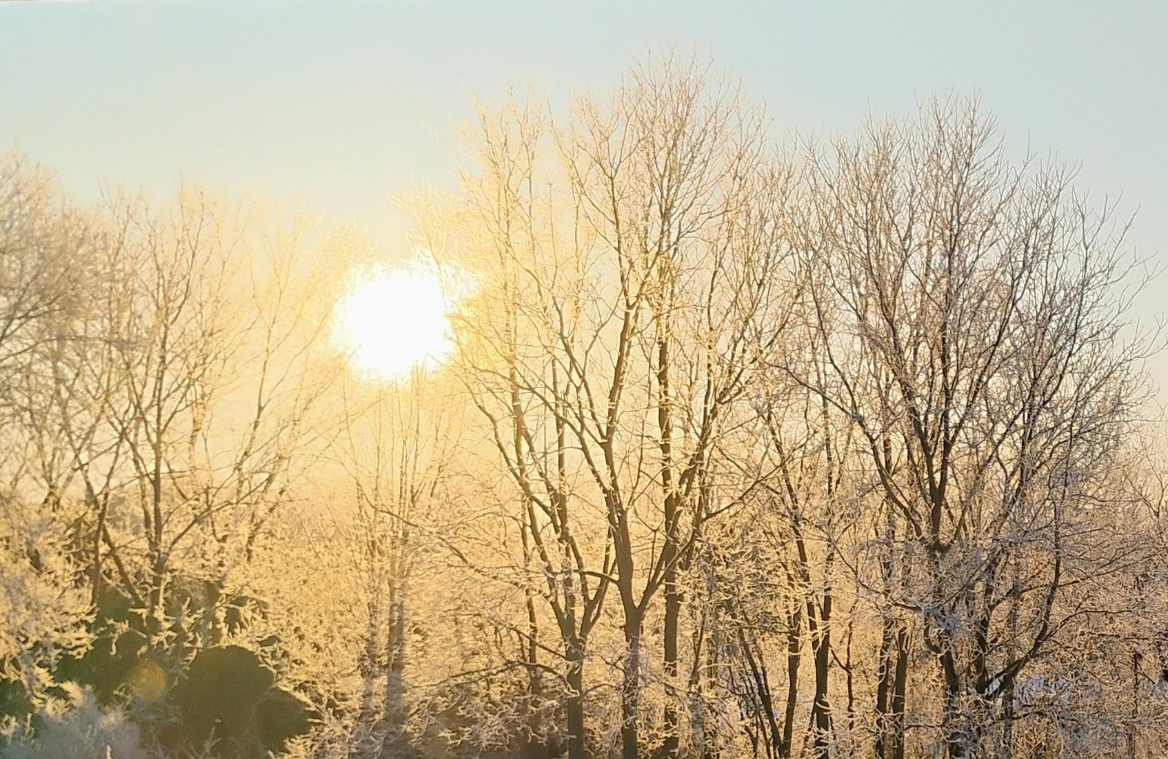 Seasons