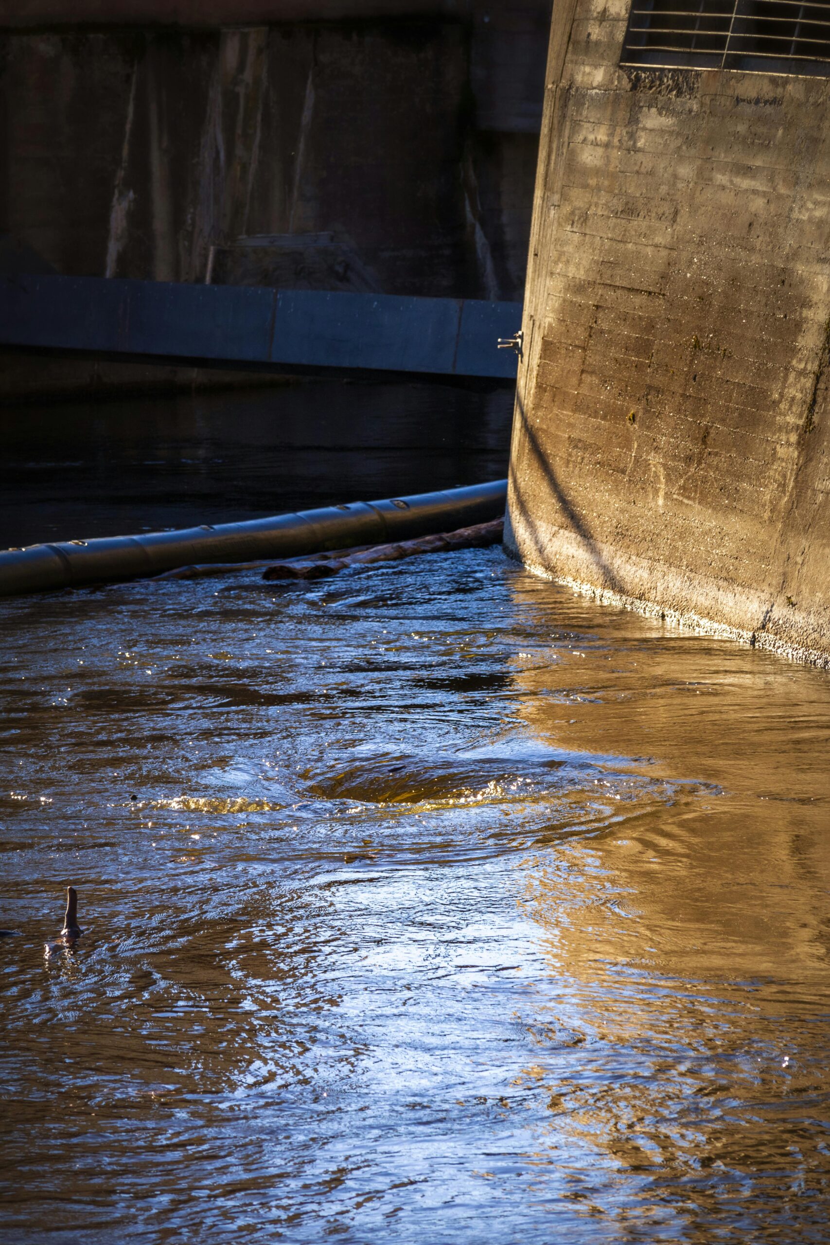 Drains